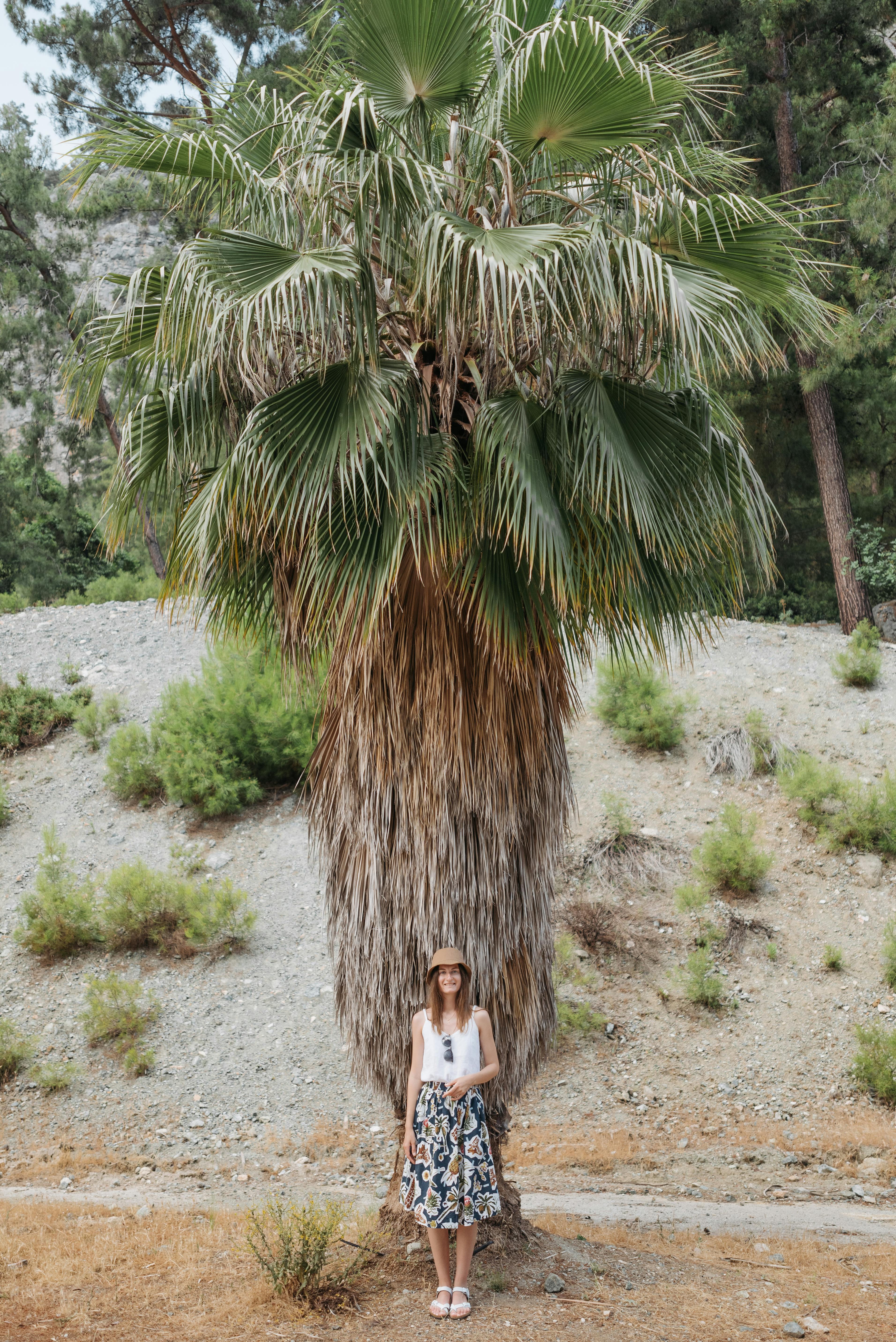 A woman stands outdoors by a tall palm tree, enjoying a sunny day in nature.