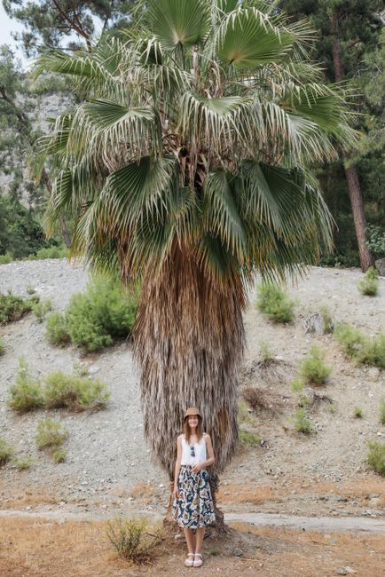 A woman stands outdoors by a tall palm tree, enjoying a sunny day in nature.
