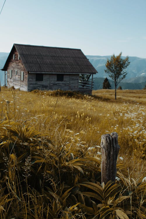 A Wooden House on the Field