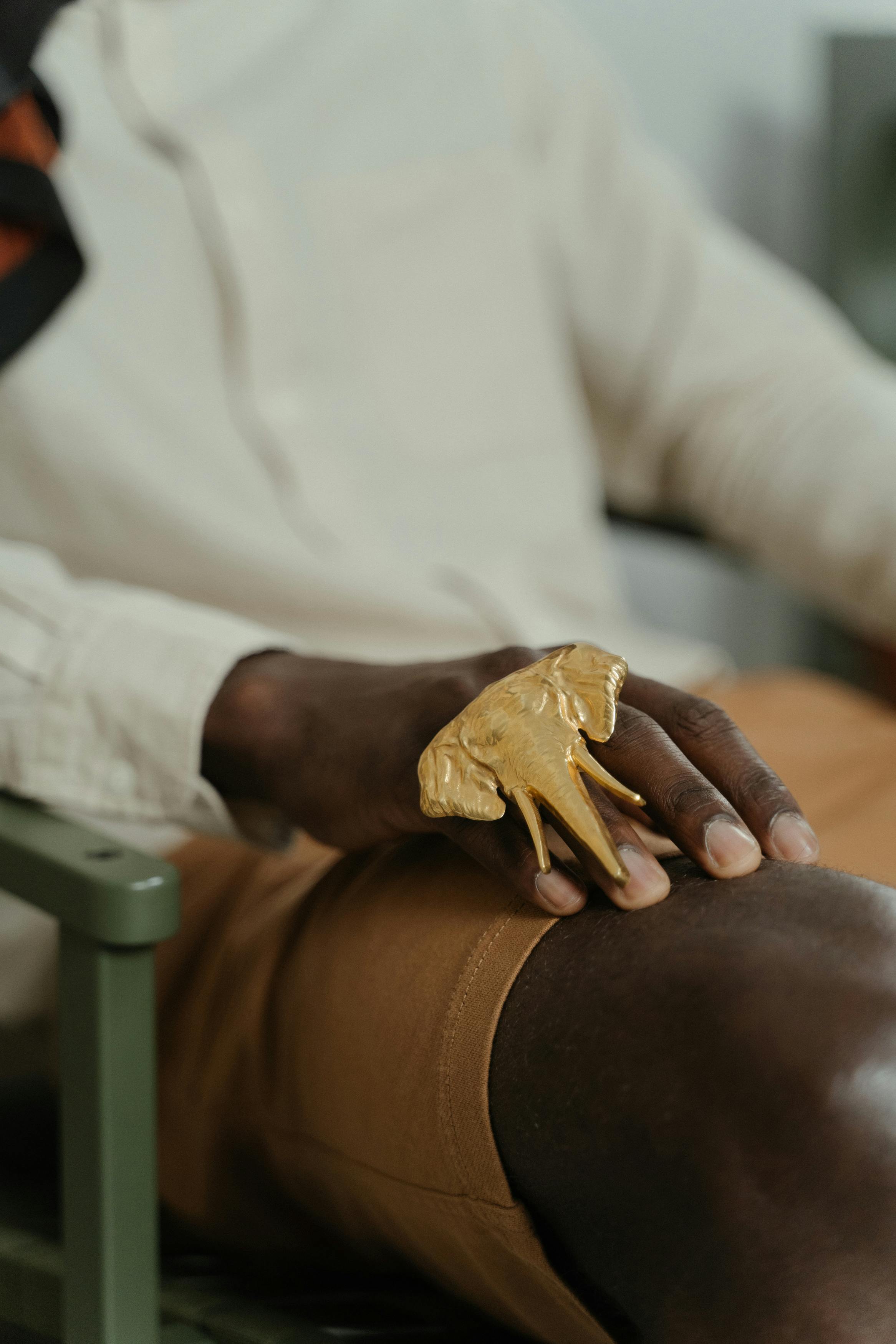 person in white long sleeve shirt wearing a gold elephant ring