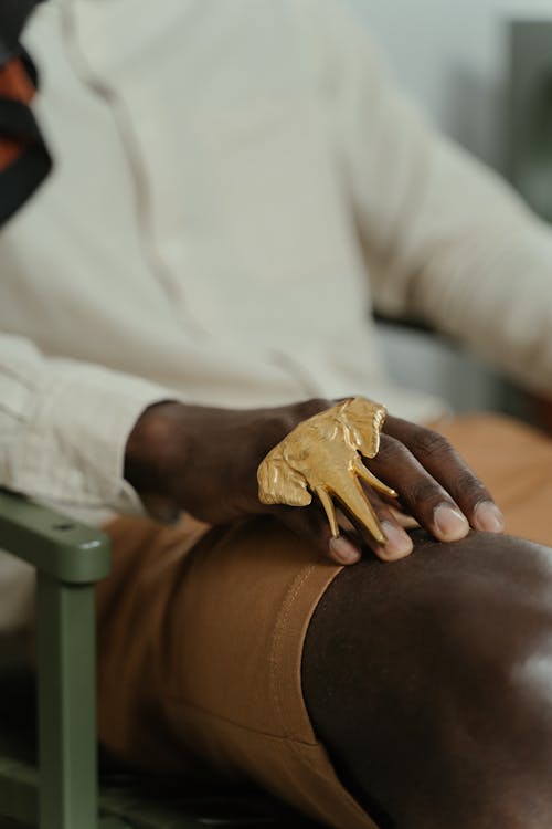 Person in White Long Sleeve Shirt Wearing a Gold Elephant Ring