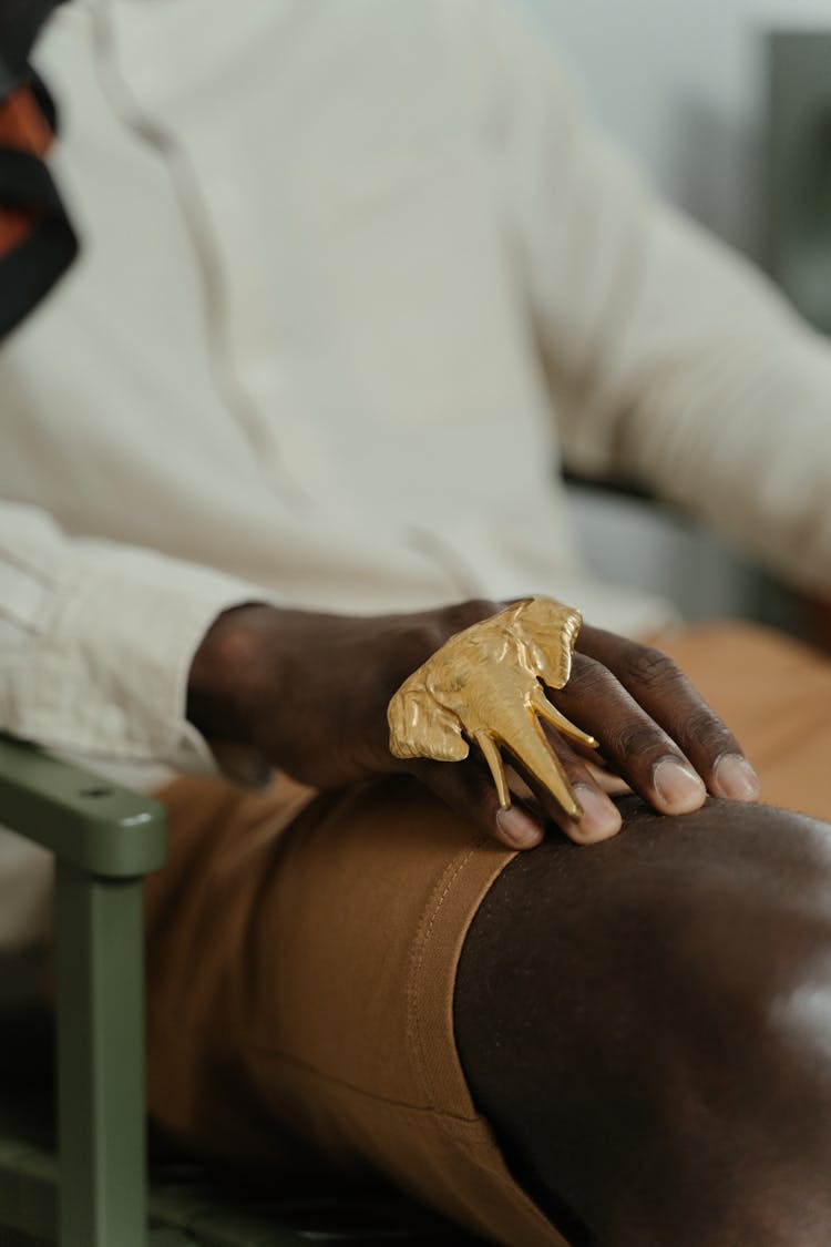 Person In White Long Sleeve Shirt Wearing A Gold Elephant Ring