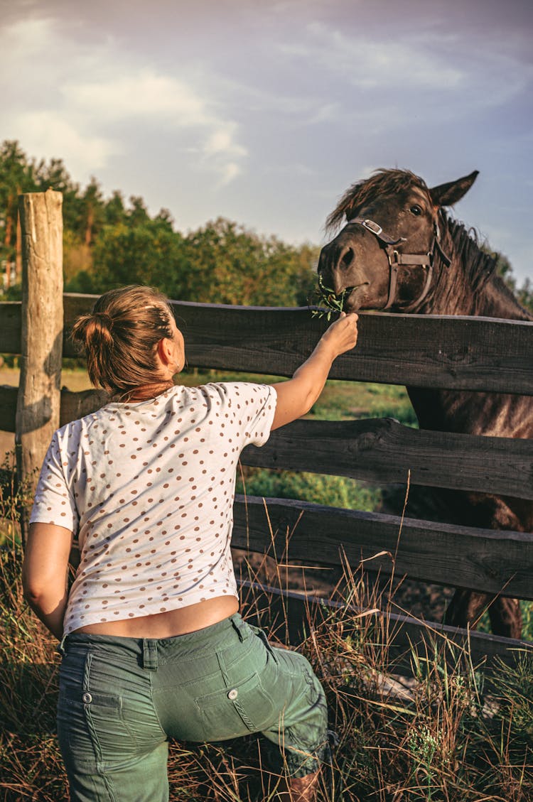 Woman Feeding Horse 