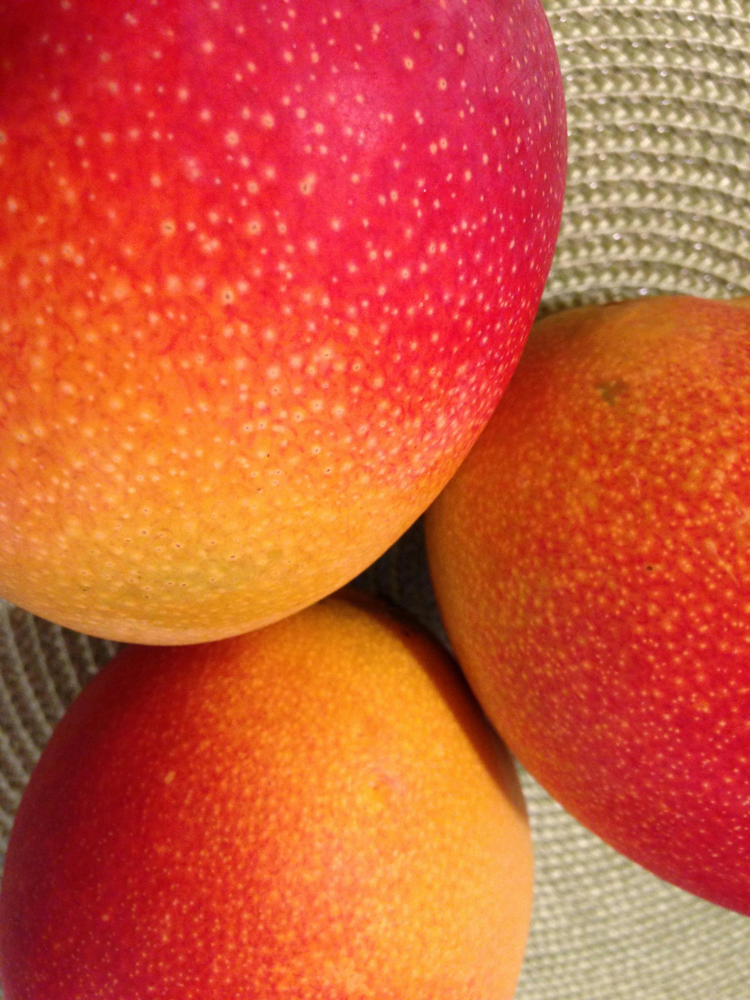 Free stock photo of mangos