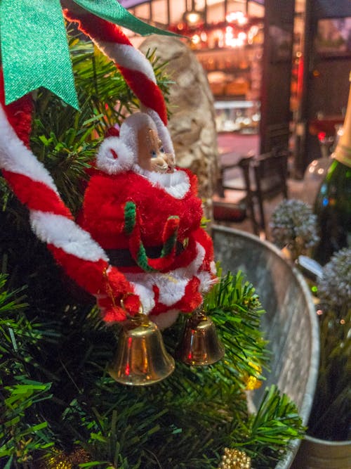 Free stock photo of bar, bell, christmas