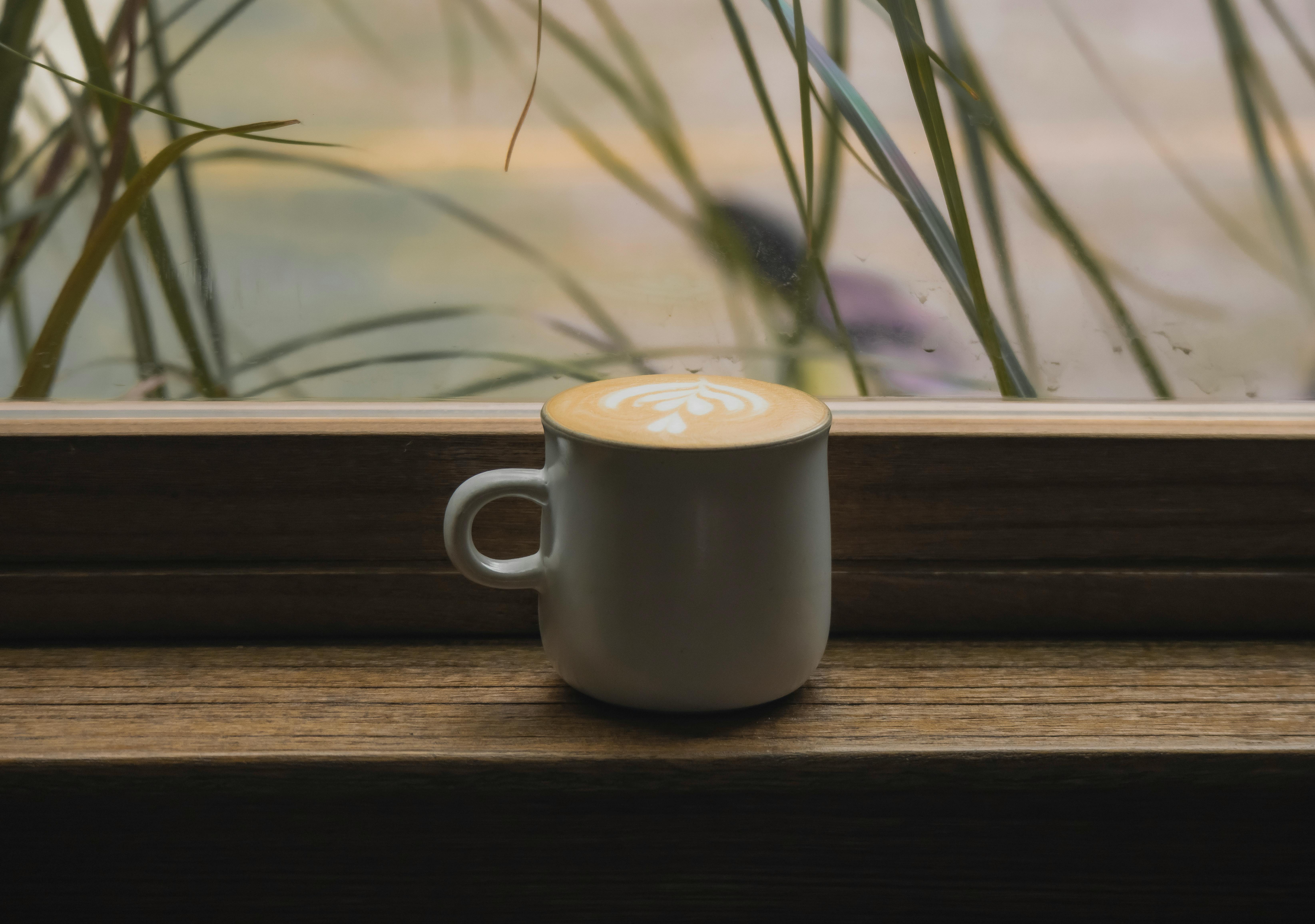 A warm and inviting latte with beautiful art resting by a window surrounded by greenery.