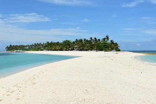 Pasir Putih Dengan Pohon Daun Hijau