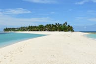 在菲律宾东维萨亚斯岛，一片宁静的棕榈树成荫的海滩上，碧绿的海水映衬着清澈的蓝天