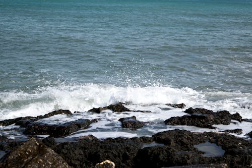 Free stock photo of italy, rocks, sea