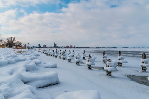 Foto Van Log Bedekt Met Sneeuw