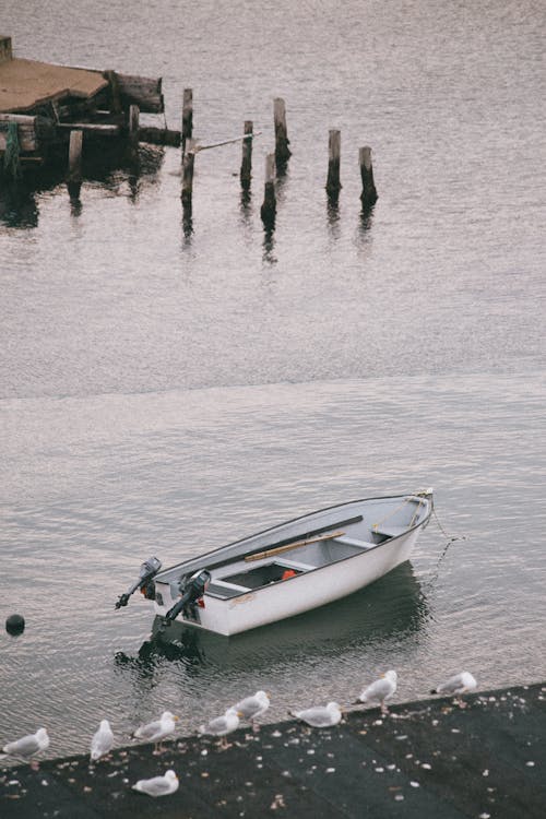 White Boat on Body of Water Near Dock