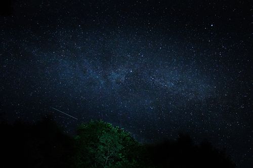 Free Beautiful starry night sky with meteor streaking over lush green trees in Poland. Stock Photo