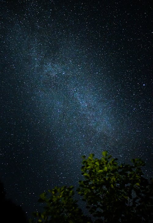 勘探, 夜空, 天文攝影 的 免费素材图片