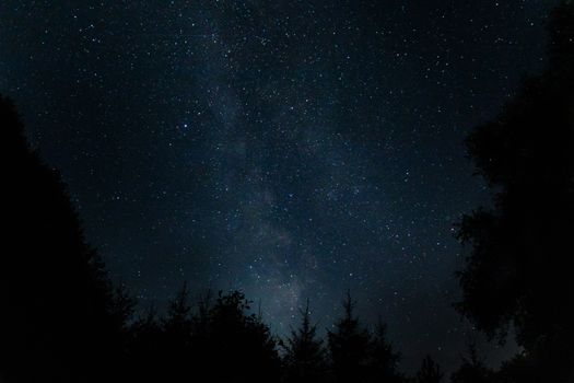 A mesmerizing view of the starry night sky above a forest in Poland. Perfect for astrophotography enthusiasts.