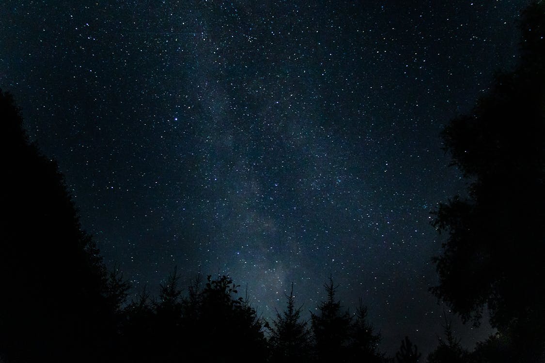 Starry Sky on a Night Sky 