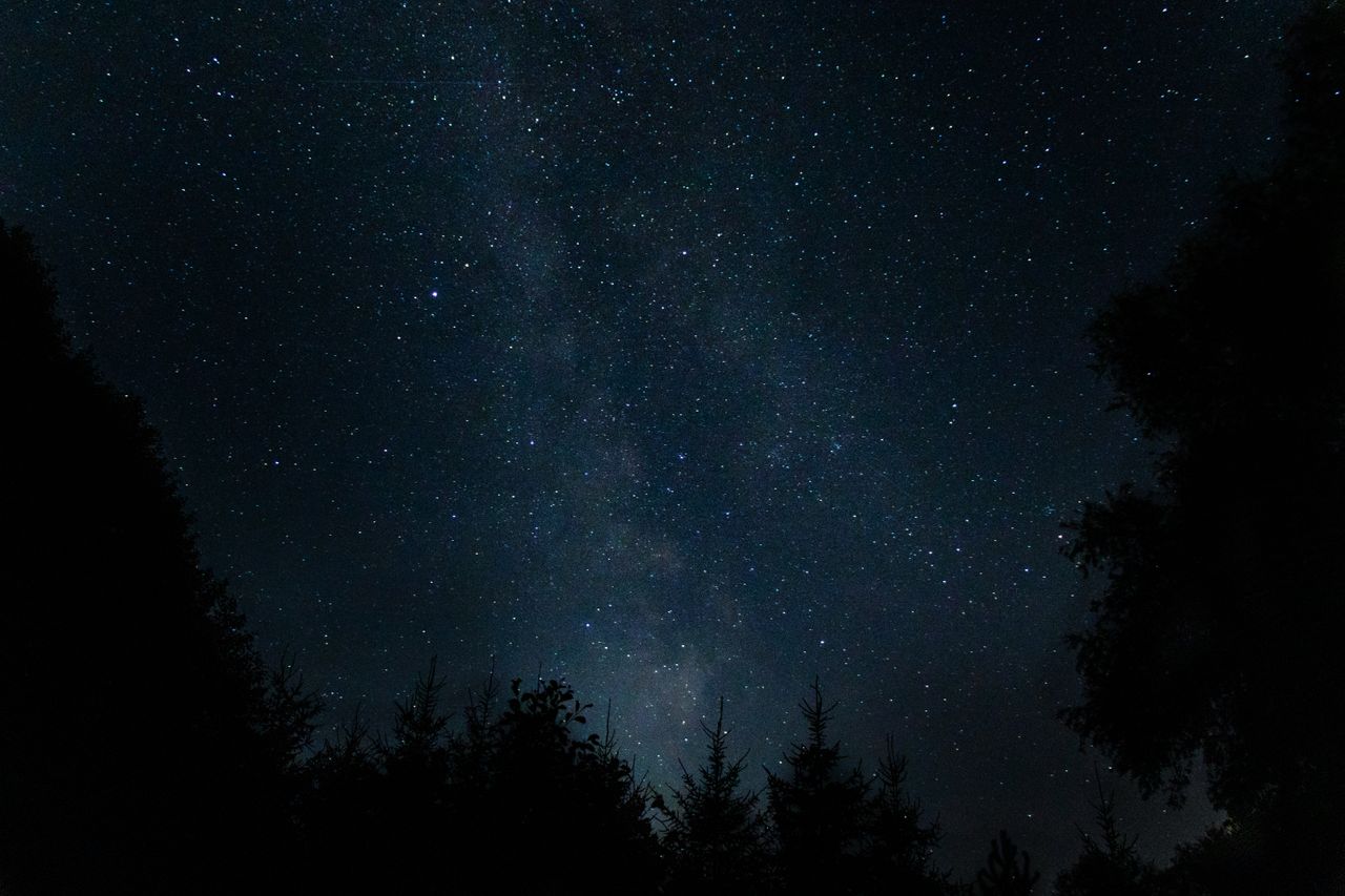 a mesmerizing view of the starry night sky above a forest in poland pe