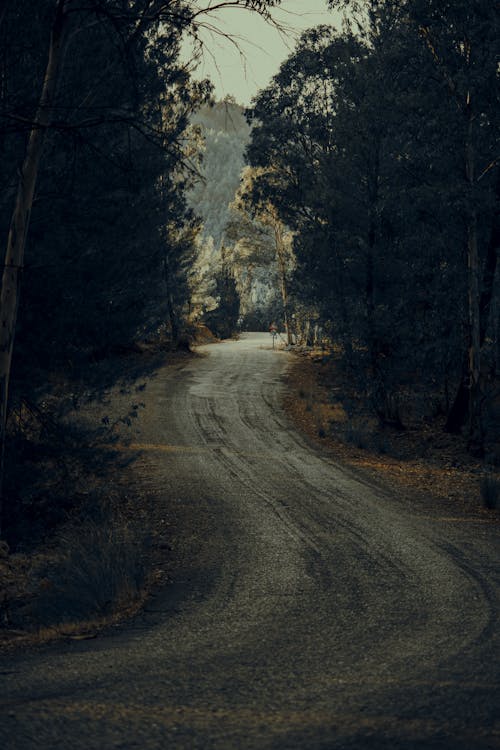 An Empty Dirt Road
