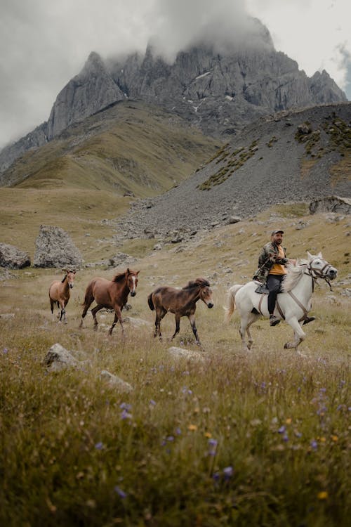 A Man Riding a Horse