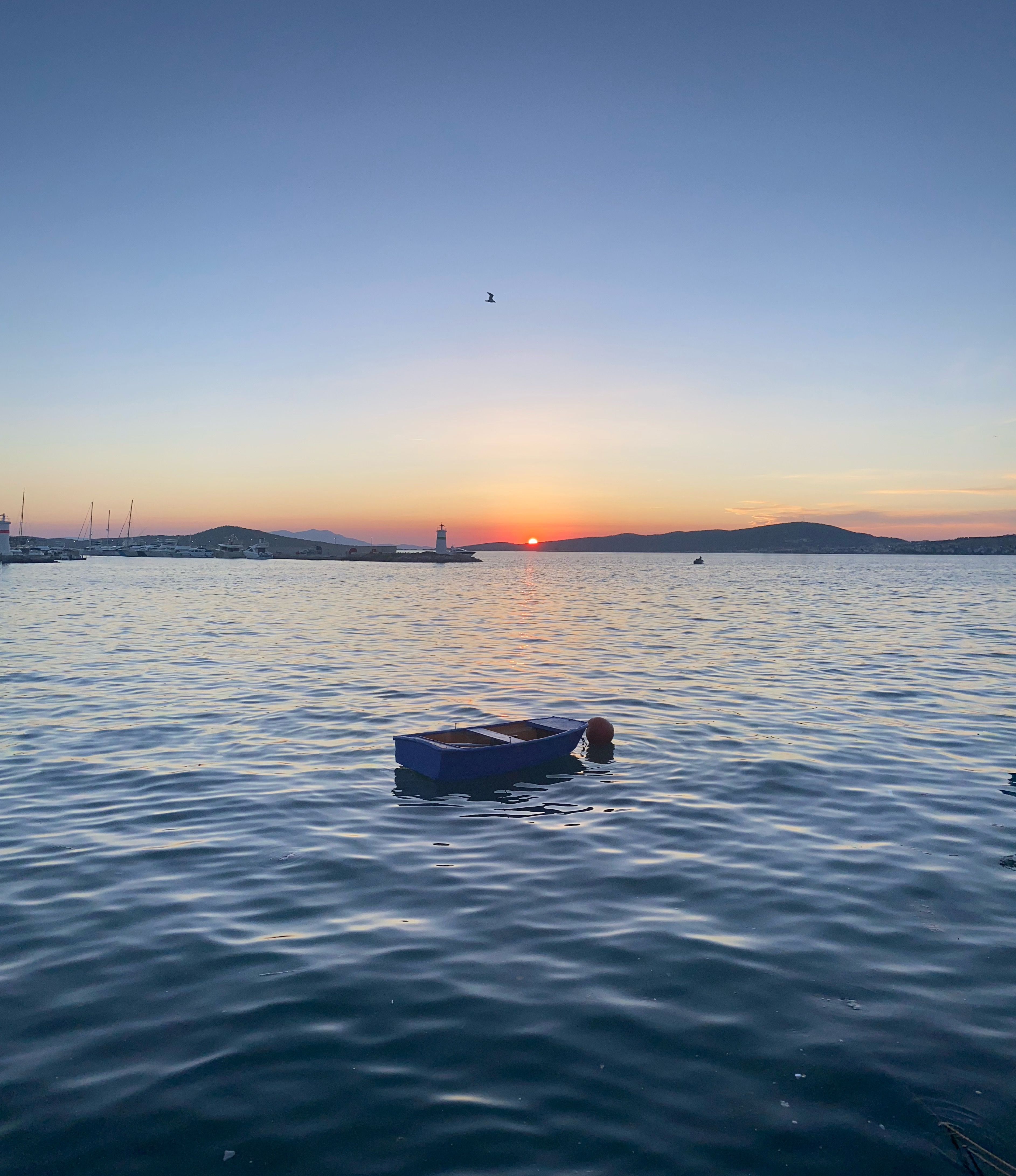 Boats on Body of Water · Free Stock Photo