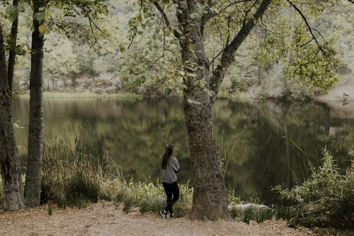 Free A serene lakeside scene with trees and a woman in Idyllwild-Pine Cove. Stock Photo