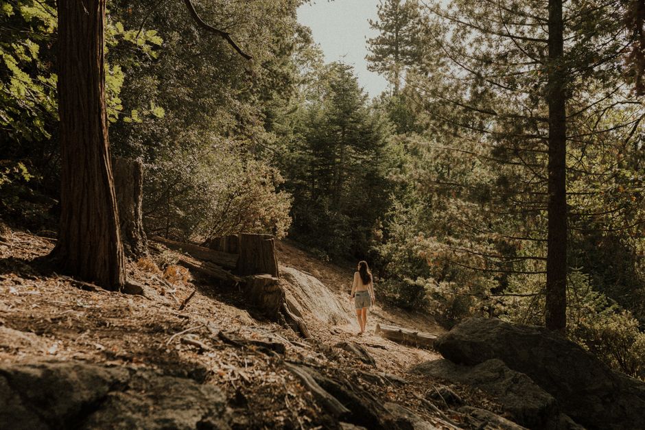 Road trip to Idyllwild from LA