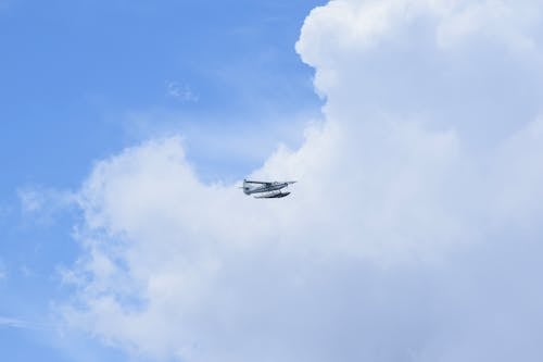 無料 空を飛ぶ白い水上飛行機 写真素材