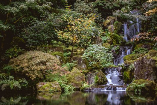 A tranquil waterfall in a lush, moss-covered forest, perfect for nature lovers.