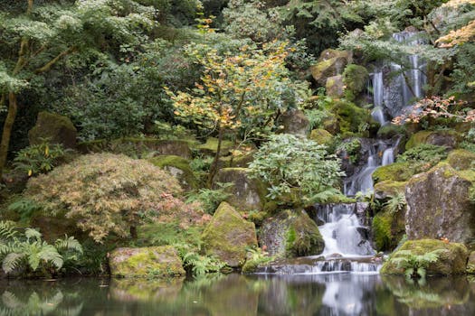 Tranquil scene of a cascading waterfall surrounded by verdant foliage and mossy boulders.