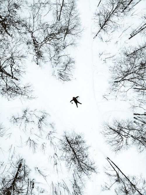 Free Aerial shot of a person lying down in a snow-covered forest with leafless trees during winter. Stock Photo