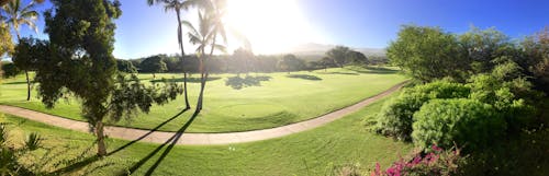 Darmowe zdjęcie z galerii z zielone pole golfowe z palmami