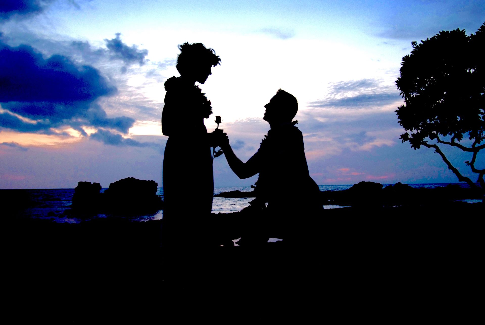 A couple's silhouette during a romantic sunset beach proposal, capturing love at twilight.