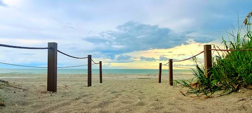 Free stock photo of beach, beach sand, forest nature