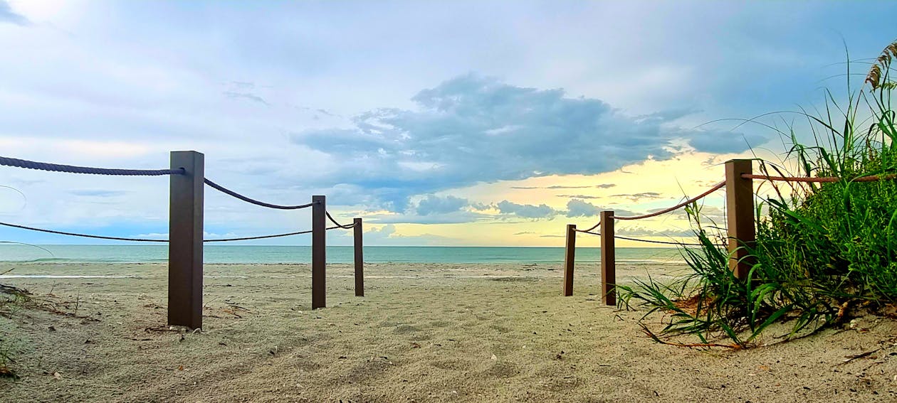 Kostnadsfri bild av sand, sand-strand, skogs natur