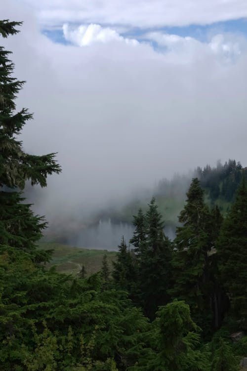 Free stock photo of alpine, alps, foggy