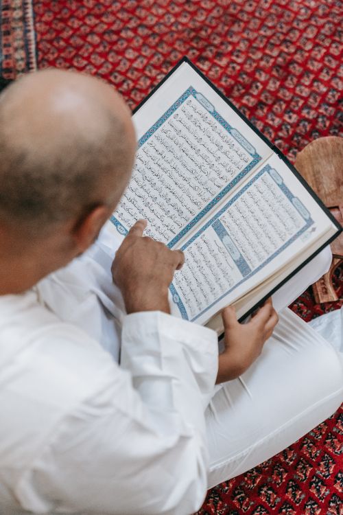 Free Adult male reads Arabic script on a textured red Persian rug, highlighting cultural focus. Stock Photo