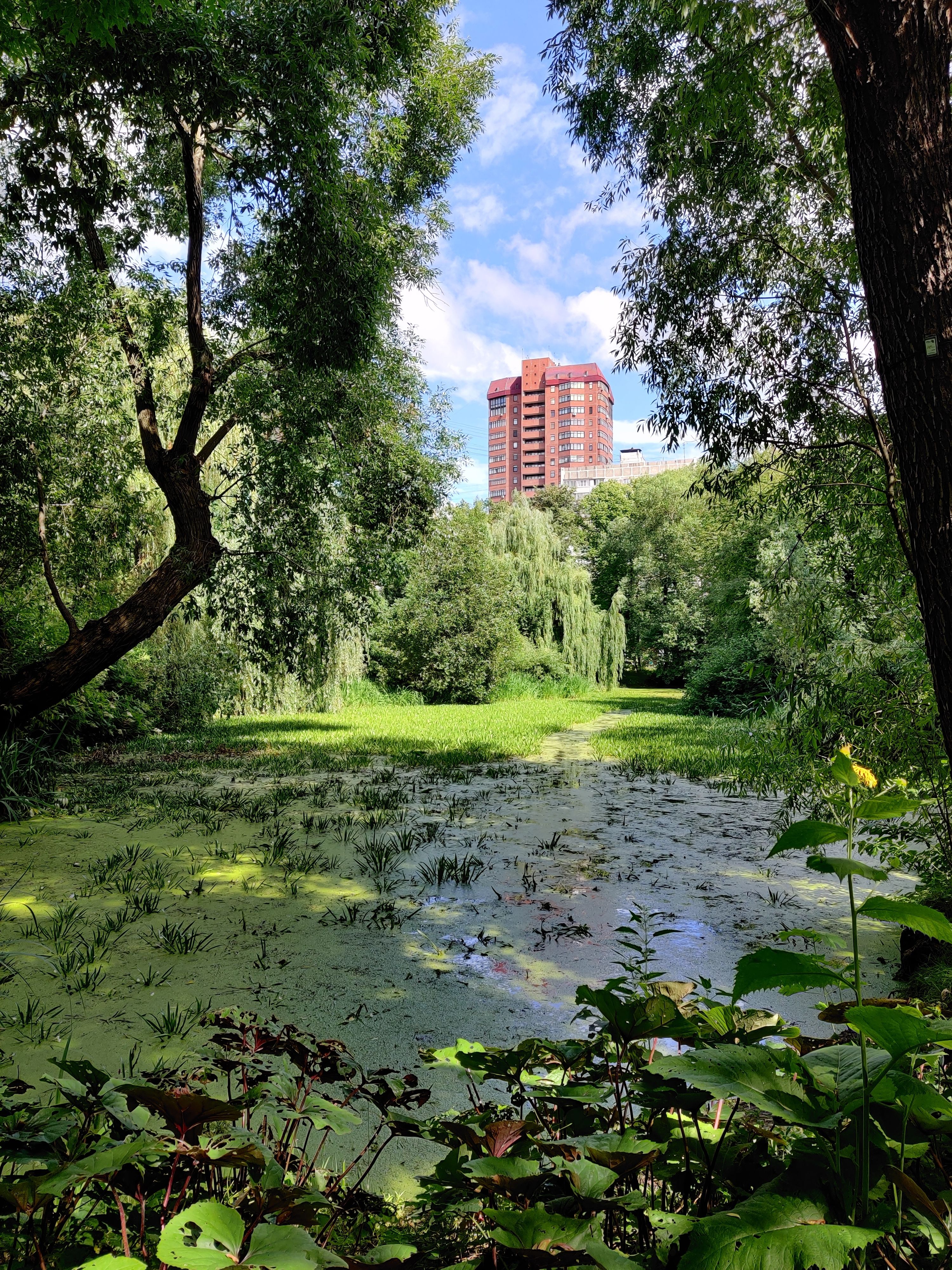 109. Wetlands Park Putrajaya Oase Hijau di Pusat Pemerintahan