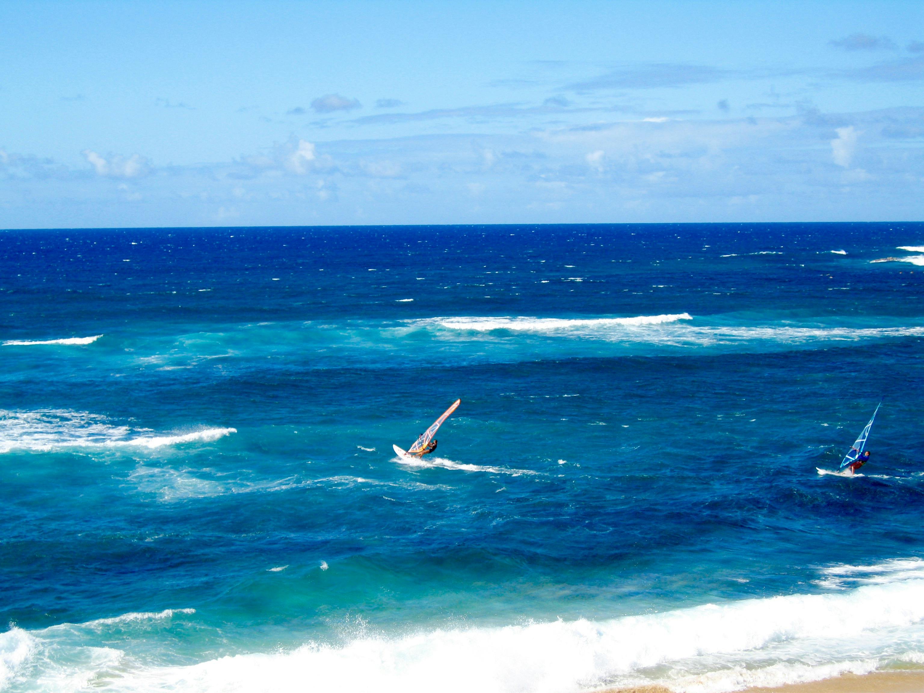 Free stock photo of hawaii, windsurfing