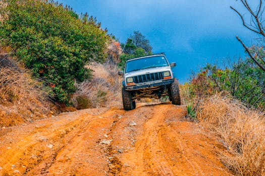 A jeep tackles a challenging dirt road surrounded by lush greenery and a vibrant blue sky.