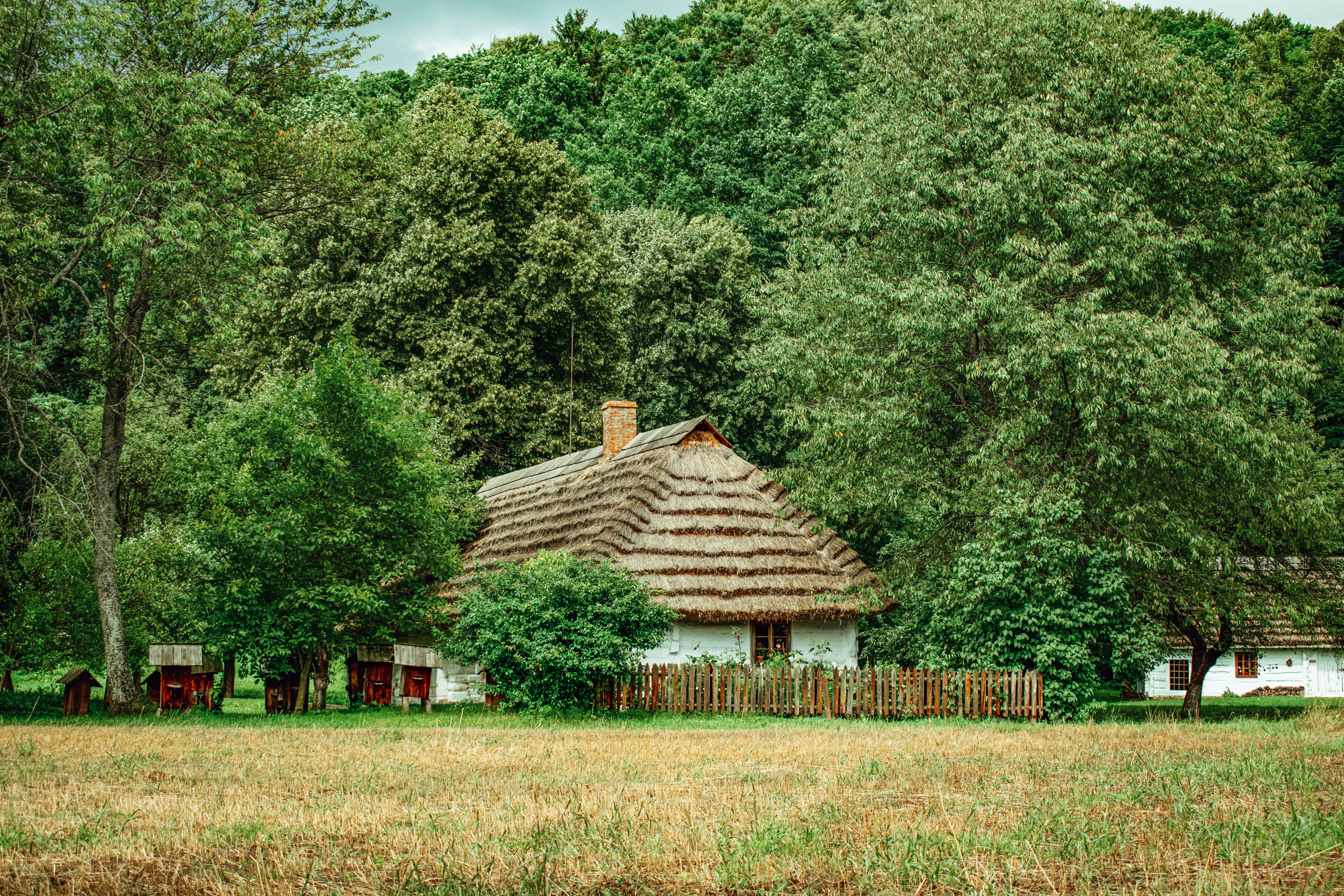 Sanok Open-Air Museum at golden hour with wooden churches, traditional farmsteads, and Carpathian landscape glowing in warm morning light