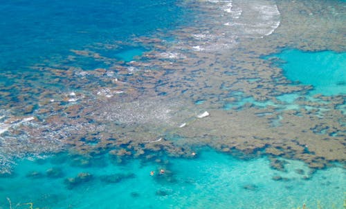 Kostenloses Stock Foto zu koralle, luftaufnahme, ozean
