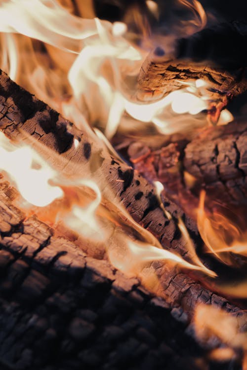 Flames from Burning Woods in Close-up Photography