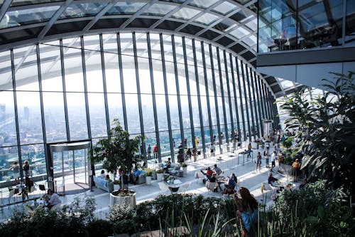 Landscape Photo of People Inside Building