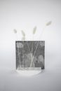 Stems of Grass Flowers Stuck on Styrofoam