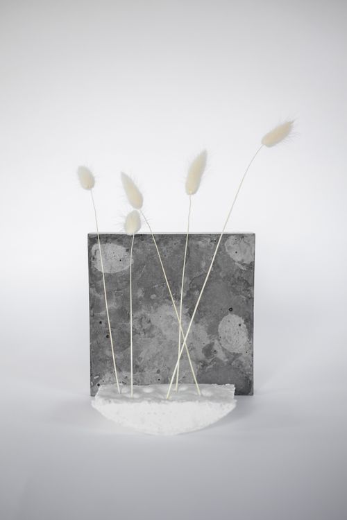 Free Elegant minimalist setup featuring white wildflowers against a textured backdrop. Stock Photo