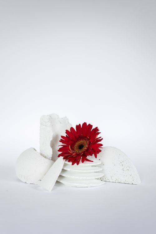 Free Minimalist photo of a red gerbera in a white vase against a simple backdrop, perfect for modern design. Stock Photo