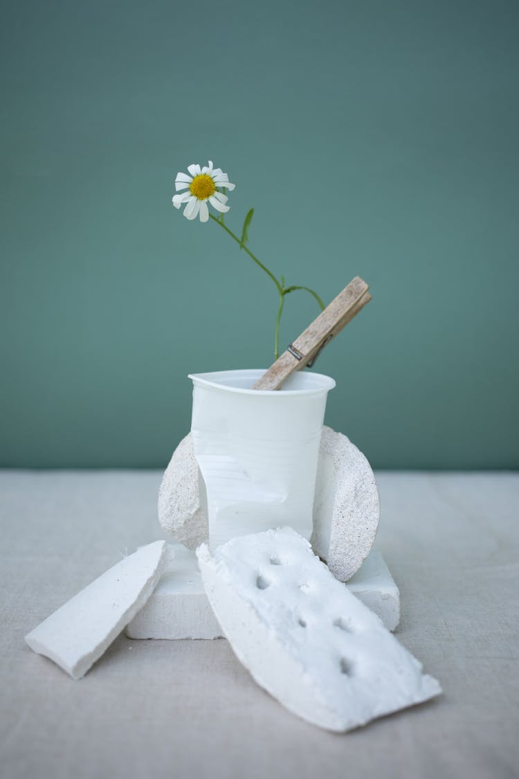 Flower And Clip In Cup