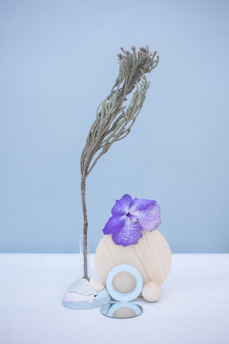 Simple Decorations Made Of Stones, Twigs And A Flower Head