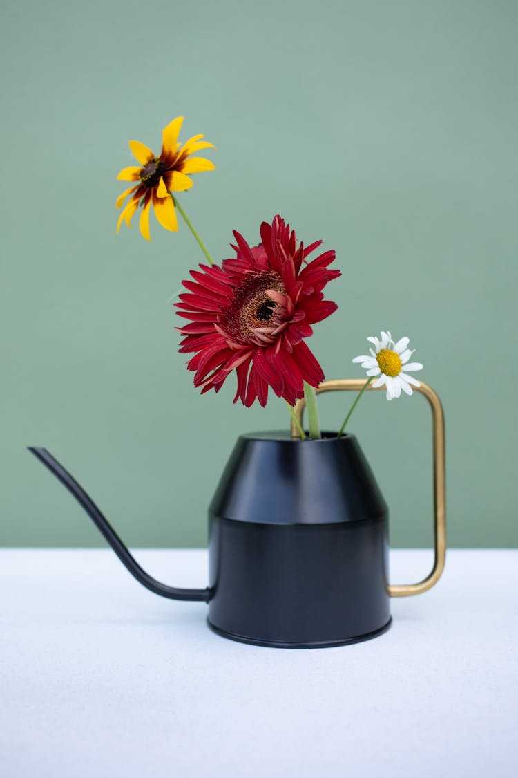 Flowers In A Watering Can