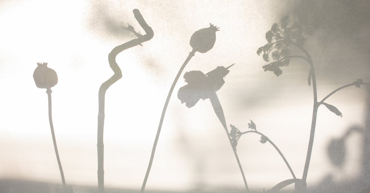 Screenshot PS4 wallpaper