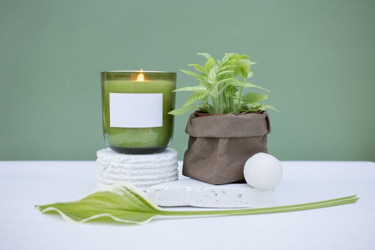 Candle, Plant And Leaf Decoration